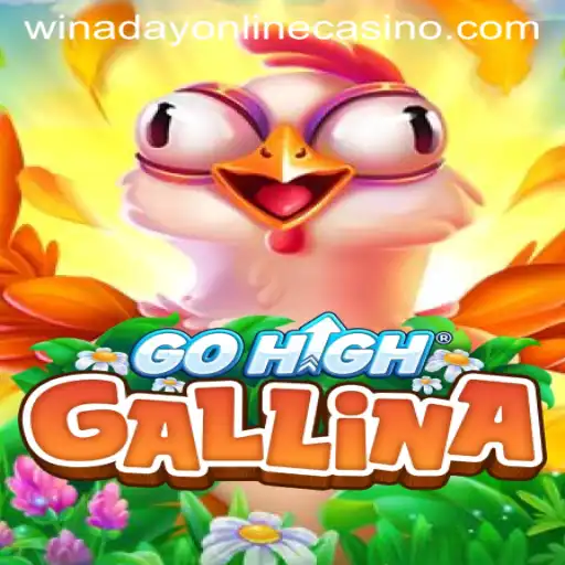 GoHighGallina: A New Adventure at Winaday Casino