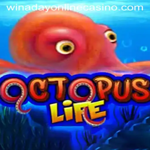 Dive into the World of OctopusLife: A New Sensation at Winaday Casino